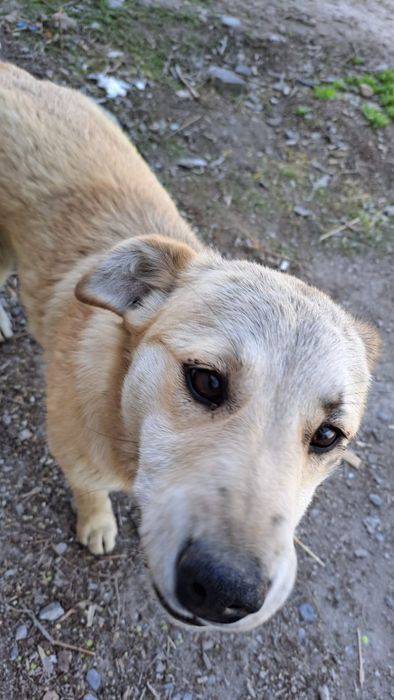 Бесплатно Муня и Лунтик