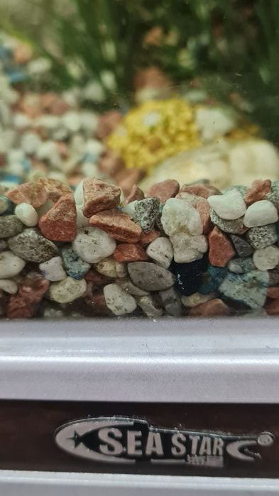 Продам большой шикарный аквариум