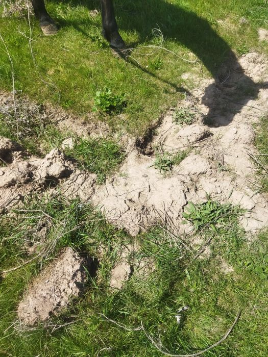 Шұбарсуда жер бар