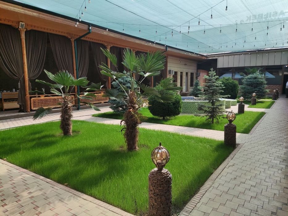 Газон, ландшафтный дизайн, декаративный Дарахтлар,Газон ва Арча уход