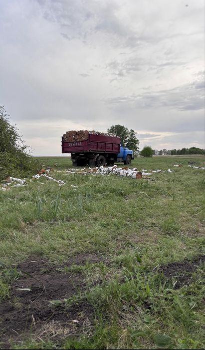 Продам дрова береза чурками