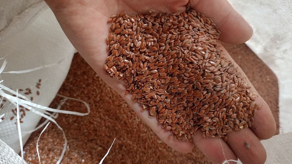 Продам Лён срочно