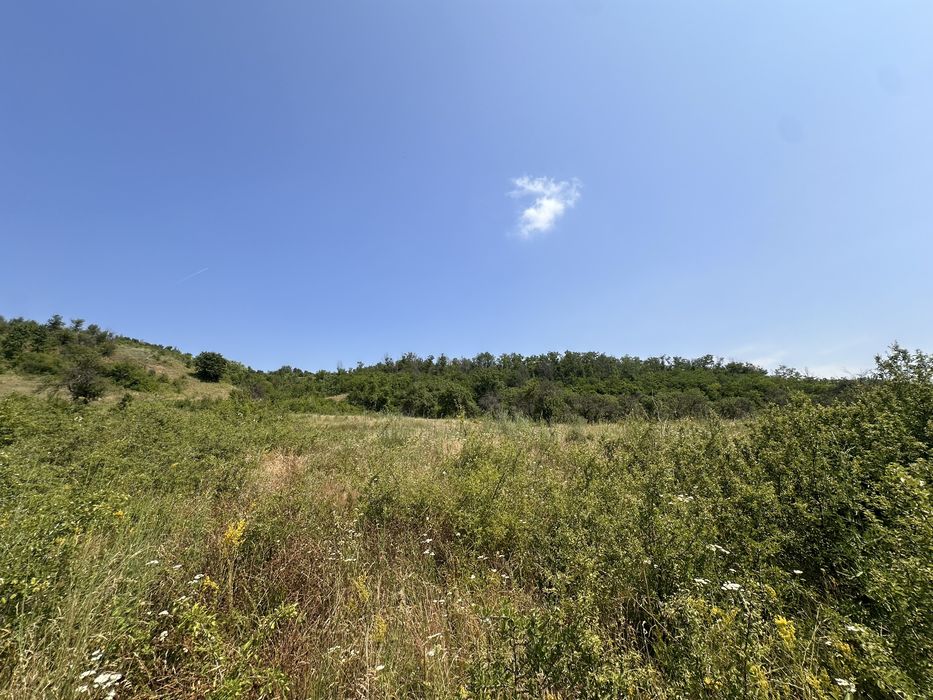 Teren intravilan 6.000 mp de vânzare – acces direct la DN67
