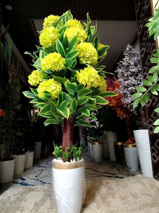 Суний гуллар ва дарахтлар олами сизнинг уйингиз ва офисингиз учун