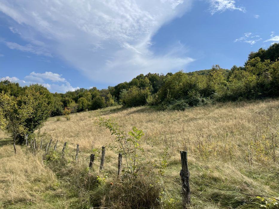 Teren extravilan in com Buces -jud Hunedoara 3648 mCF