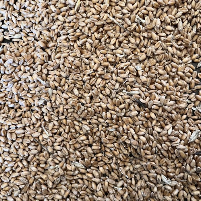 Ячмень пшеница в мешках арпа бидай