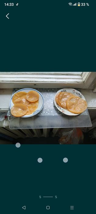 Чайный гриб В продаже