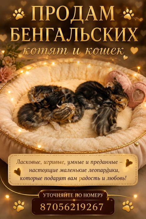 Продам бенгальских котят,мальчики и девочки красавцы