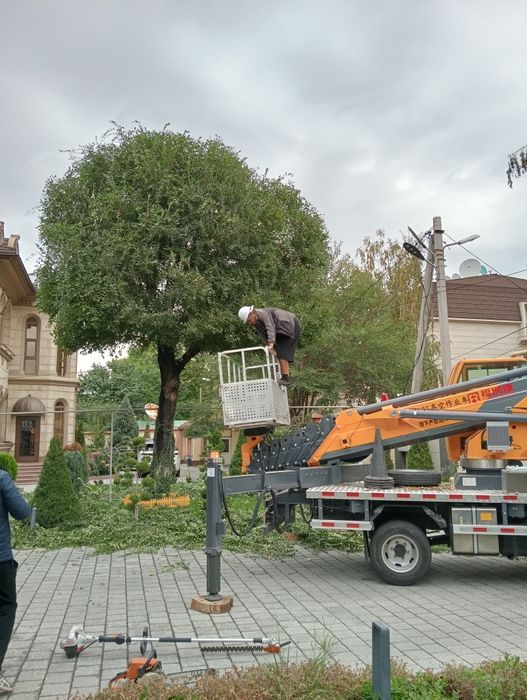 Спил деревьев от 5000 тг