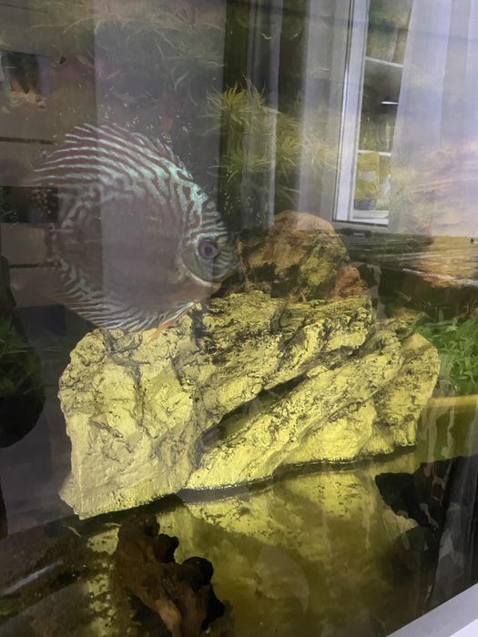 Продам аквариум 110 л