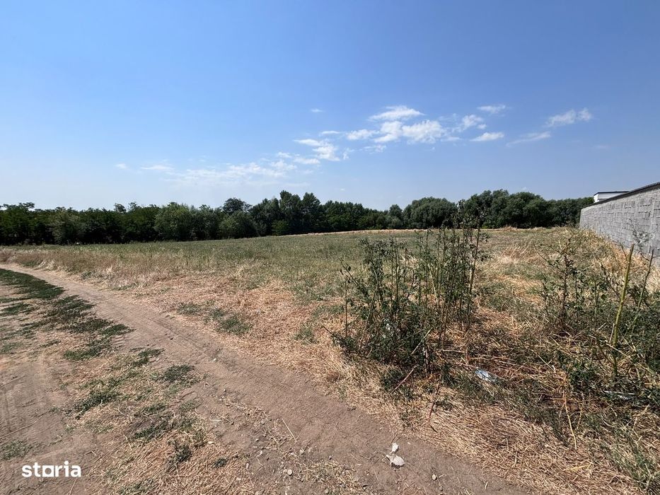 Teren intravilan 4.031 mp | 52 m deschidere | Albești, Șimnicu de Sus
