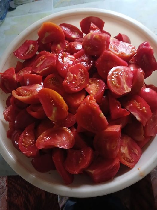 Продам домашнюю кобру