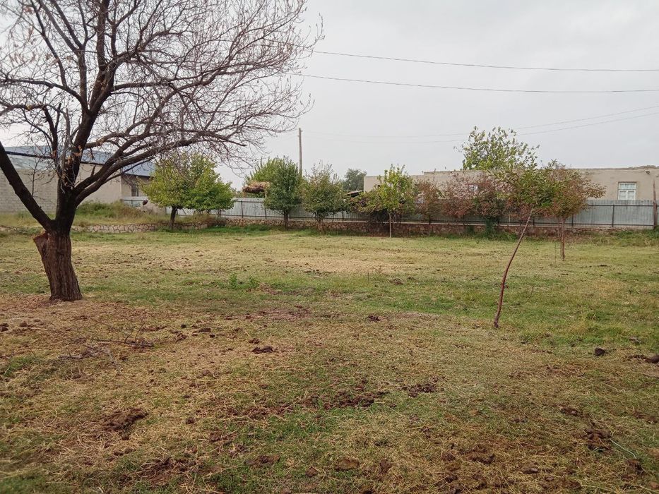 Когон тумани Кизилолма кишлогида 15 сотихли тайёр ховли сотилади.