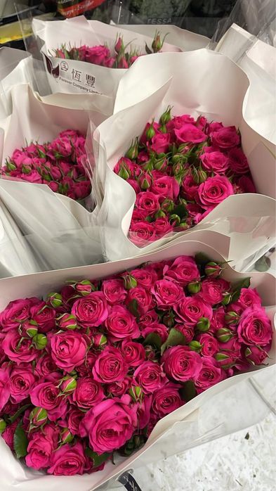 Розы Оптом А класс