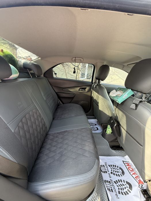 Продам кобаль 2024 гола