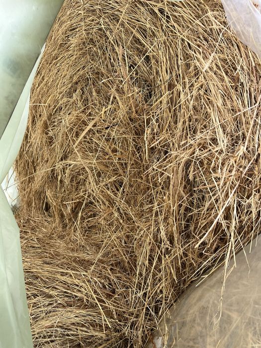 Vand baloti de fan si otava