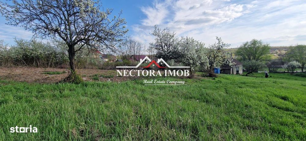 NECTORA IMOB-Casa 70 mp cu teren 951 mp, front 16 mp, Paleu Centru