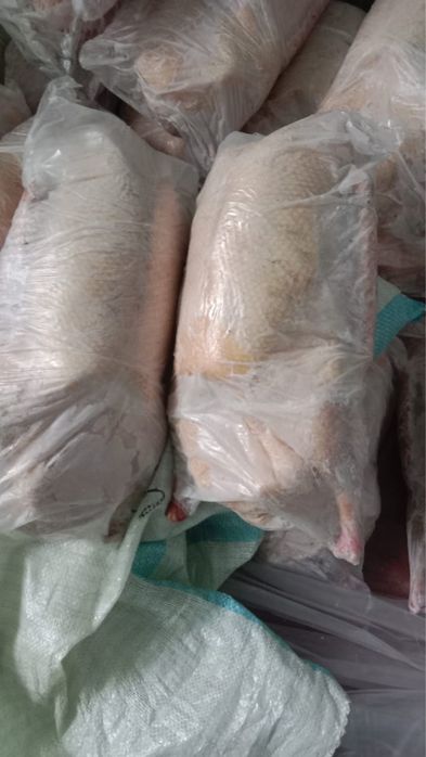 Гуси из Петропавловска.