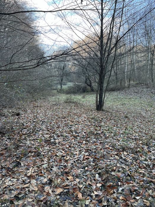 Vand teren extravilan 15000m in Valea Lunga-Dambovita cu padure, ideal pentru investitii