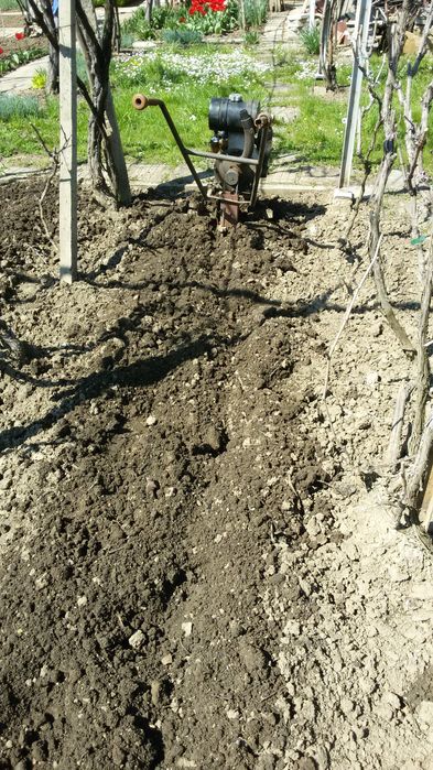 Фреза за градината