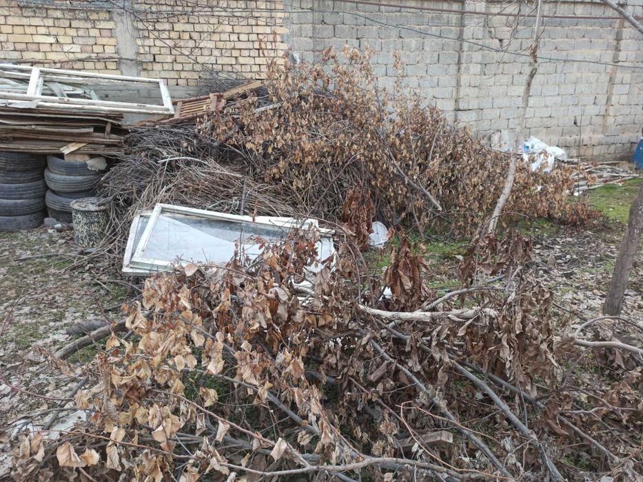 Ўтин шох-шабба сотилади