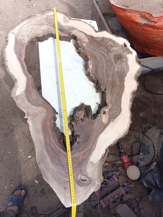 Nuc uscat rondele blaturi scânduri capace