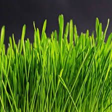 Pământ vegetal pentru grădina și Mranita naturală