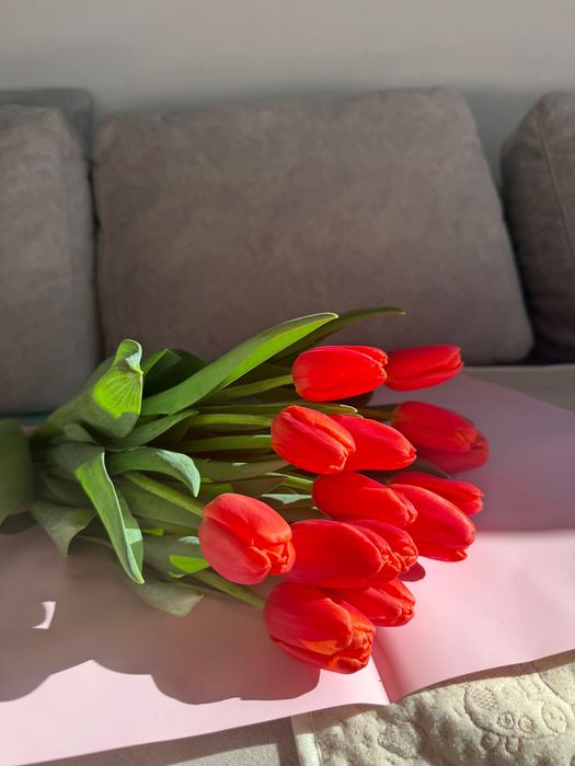 Продаю тюльпаныы