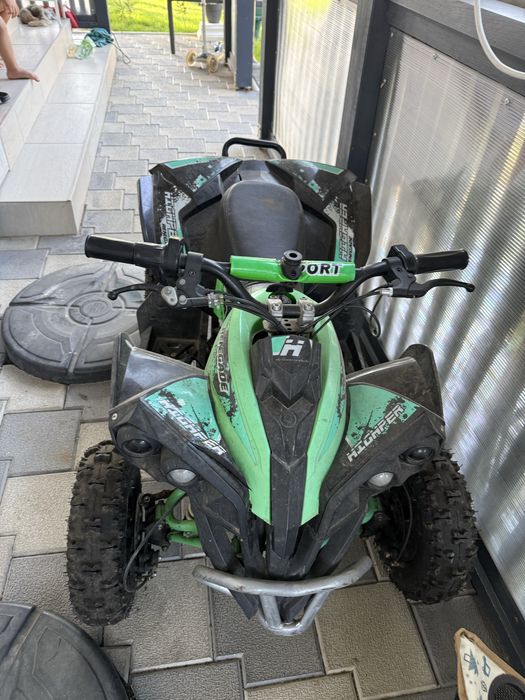 ATV quad Renegade 1000w electric