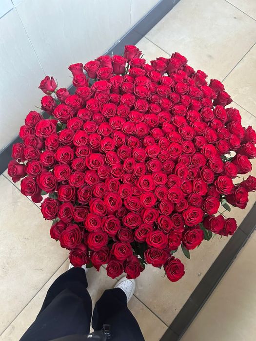 Розы красные,длинные,в упаковке,свежие,пару часов назад собрали