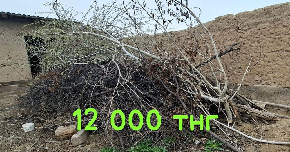 Дрова / Отын ағаш