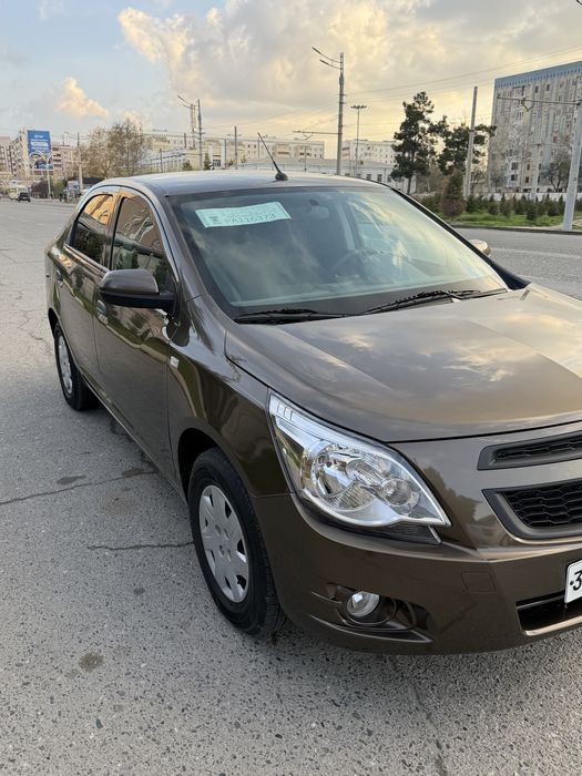 Other Cobalt 2023 — 3