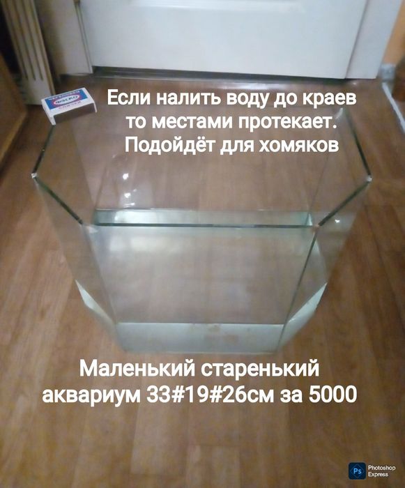 Аквариум . Маленький. Для крысок