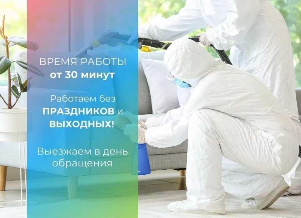 Профессиональное уничтожение насекомых