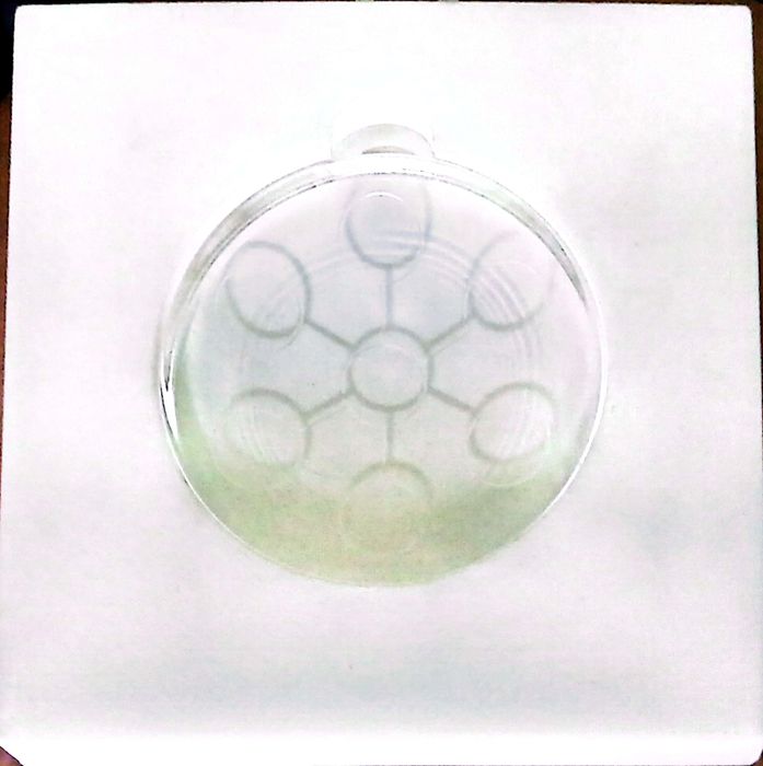 Bio disk. Био диск. Энергетик махсулот