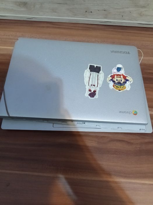 Toshiba chromebook display ok  , balamale rupte