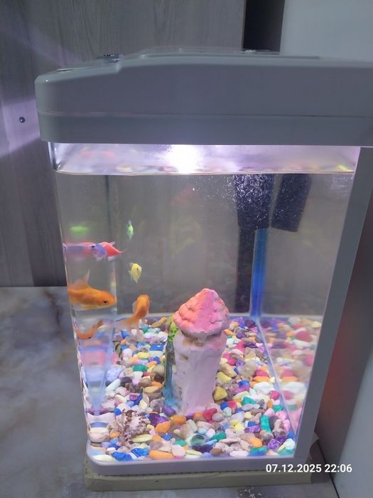 Аквариум заводской сотилади