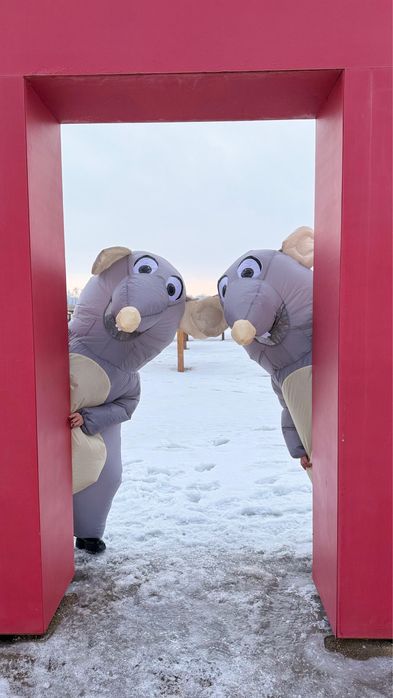 Прокат костюмов крыс