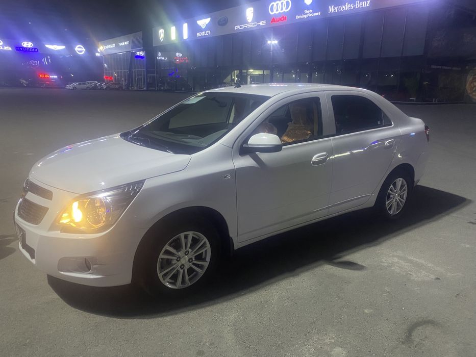 COBALT 2023 краска тоза 100%