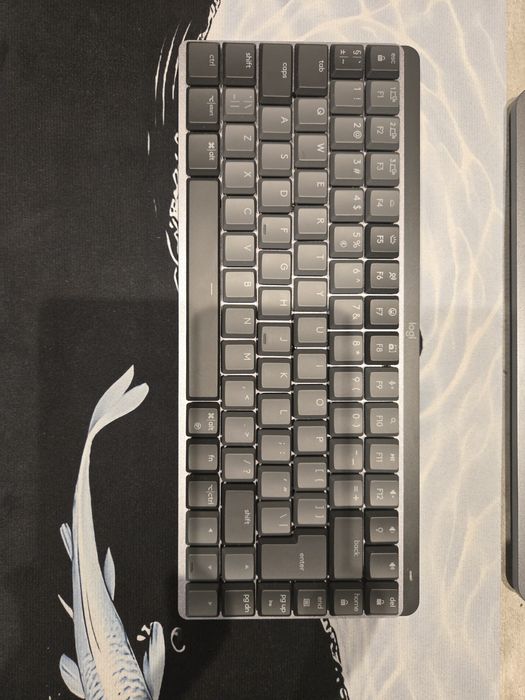 Logitech mechanic keys