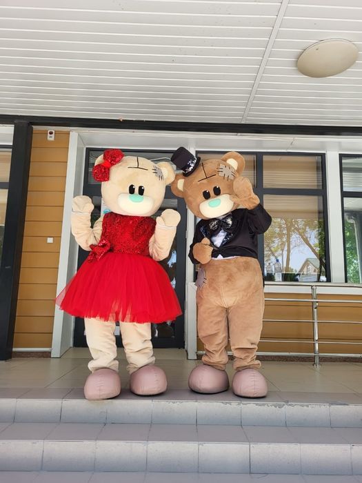 Аниматоры мишка тедди