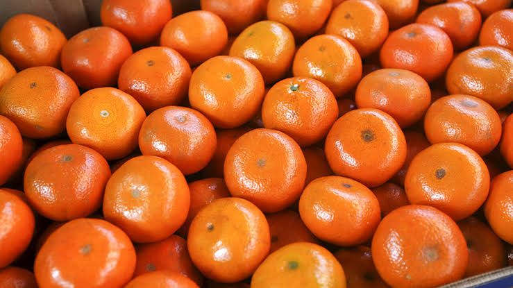 Турецкие мандарины
