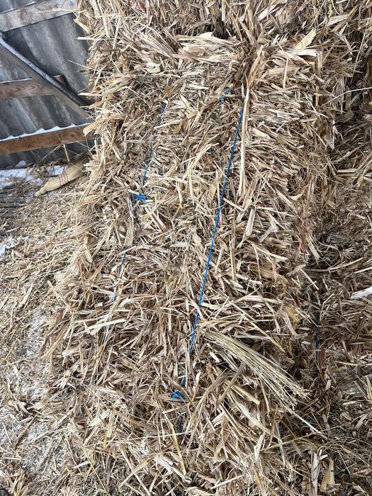 Vănd balotii de mături