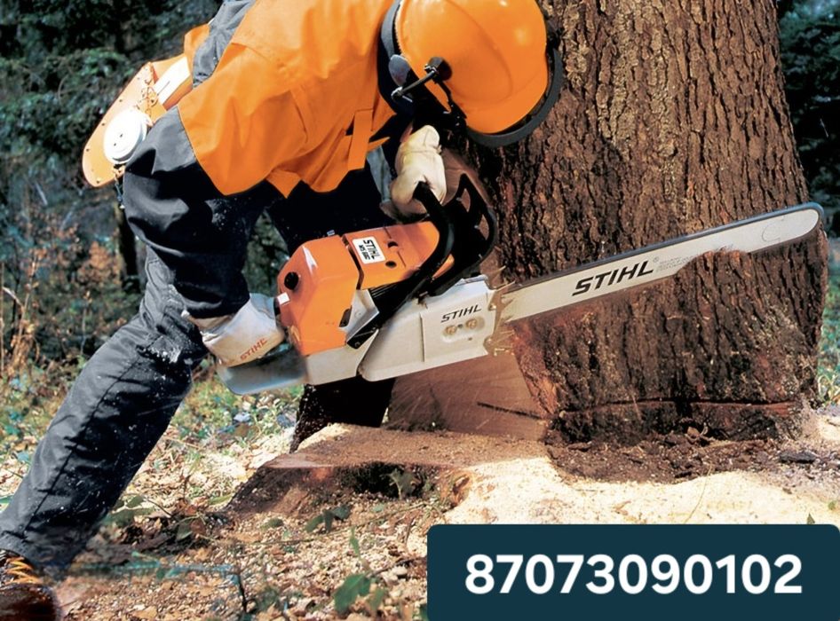 Спил деревьев  ағаш кесемиз