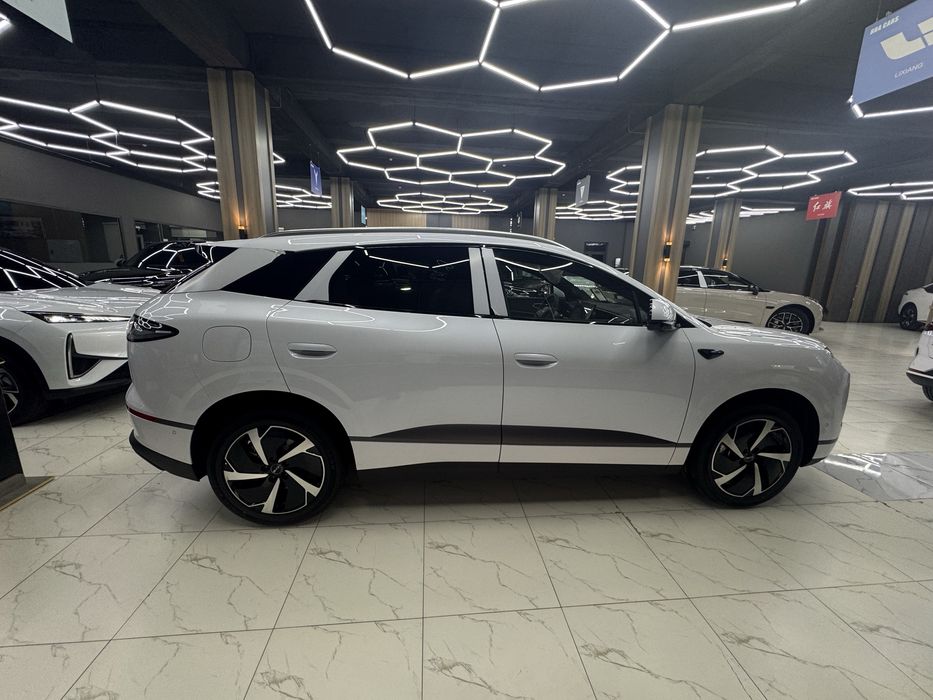 BYD Song L 2025 — 5
