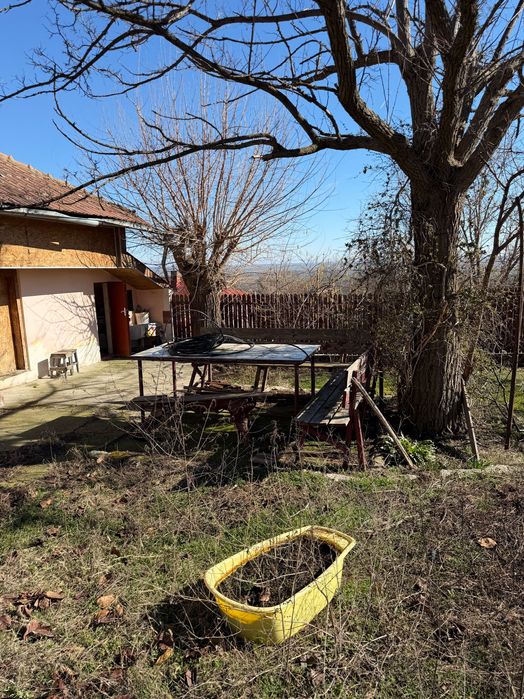 Vand casa plus teren Pietroasele