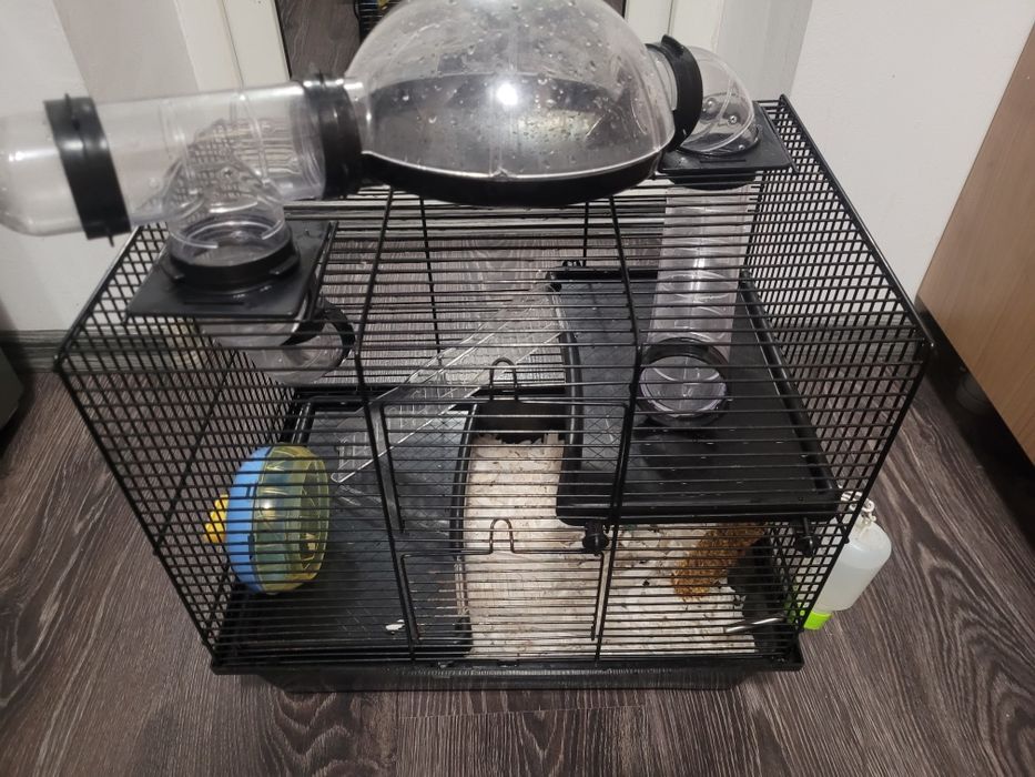 Vând hamster cu tot cu cușcă și accesorii