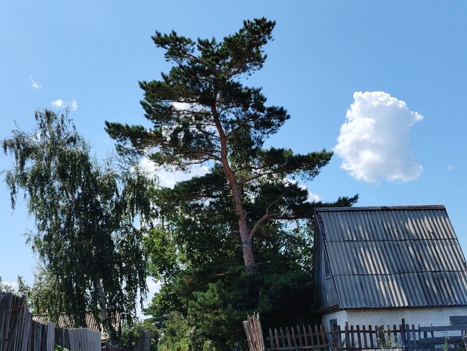 Продам дачу в 1 общ. 400000т. полив отличный