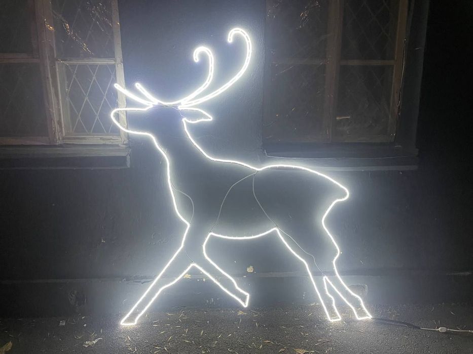 Светящиеся фигуры из неона