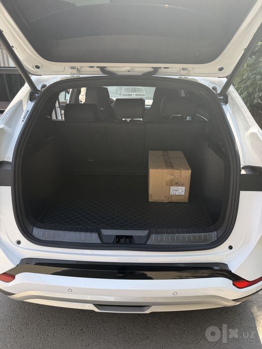 BYD chimpion smart